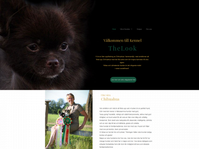 kennelthelook.se snapshot