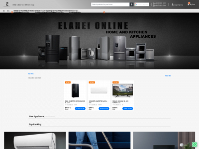 elahei.com snapshot