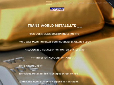 www.transworldmetals.net snapshot
