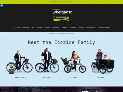 cykeltjanst.one snapshot