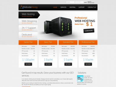 websitehoste.com snapshot