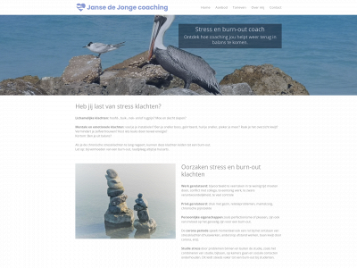 jansedejongecoaching.nl snapshot