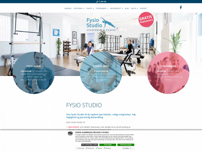 fysiostudio.dk snapshot