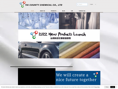 taicounty.com.tw snapshot