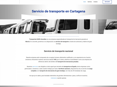 www.transportesdelfingonzalez.com snapshot
