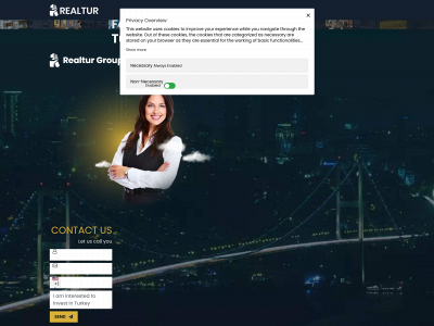 realtur.com.tr snapshot