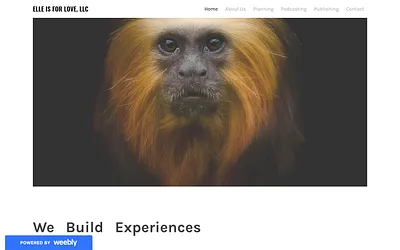 blogsbycharity.weebly.com snapshot