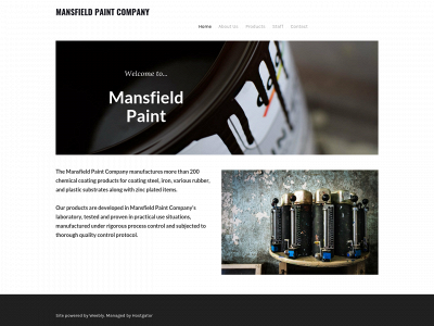 mansfieldpaint.com snapshot