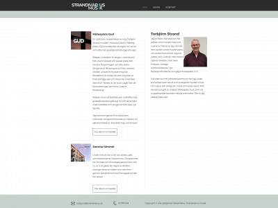 strandivarius.se snapshot