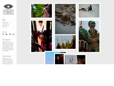 winkingcamera.com snapshot
