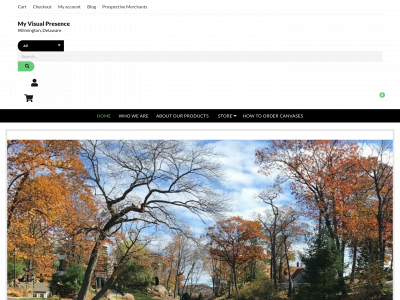 myvisualpresence.com snapshot