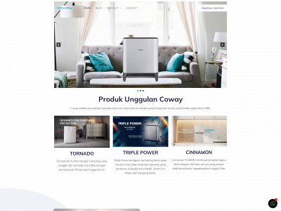 cowaypurifiers.com snapshot