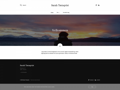 sarahtoernqvist.com snapshot