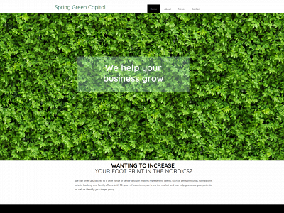 springgreencapital.com snapshot