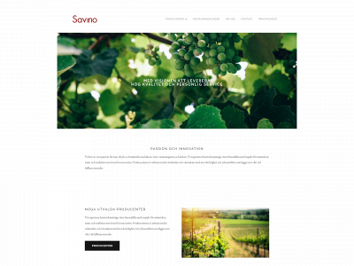savino.se snapshot