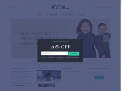 sookienyc.com snapshot