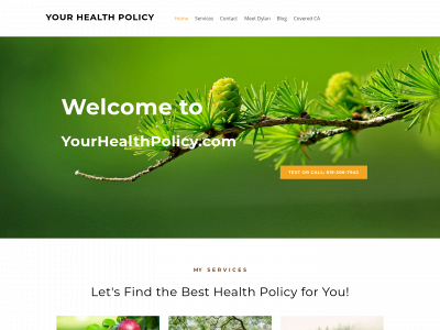 yourhealthpolicy.com snapshot