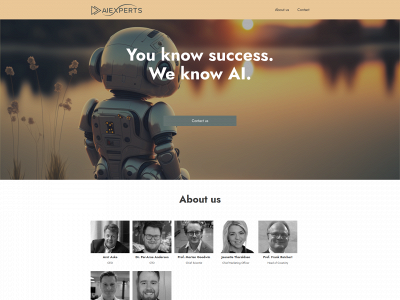 aiexperts.no snapshot