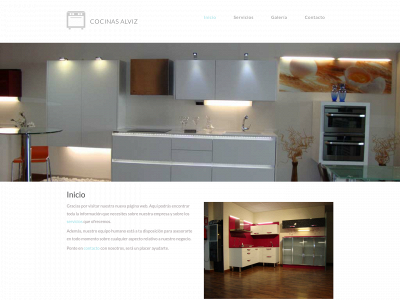 cocinasalviz.com snapshot