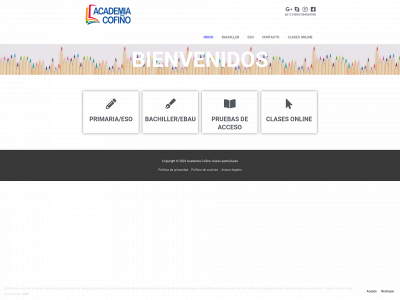 academiacofiño.es snapshot