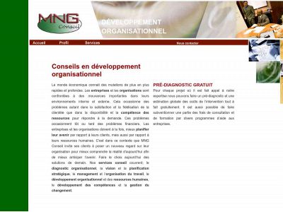 mngconseil.com snapshot