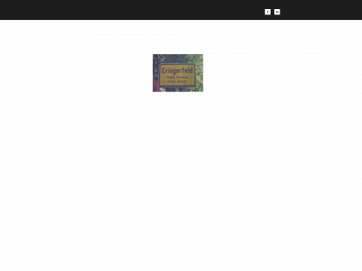 eringerfeld.de snapshot
