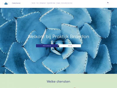 praktijkbrandon.nl snapshot