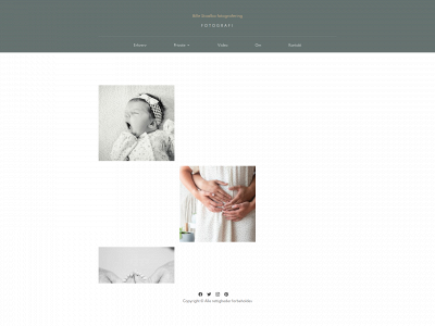 billestaalbo.dk snapshot
