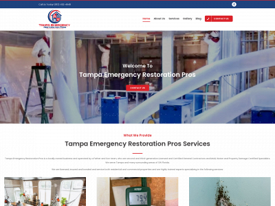 tampaemergencyrestorationpros.com snapshot