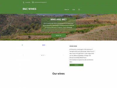 wineborrascarrascosa.dk snapshot