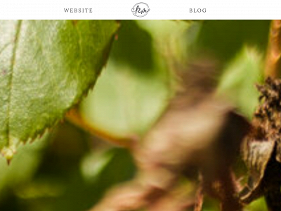 katymurrayphotographyblog.com snapshot