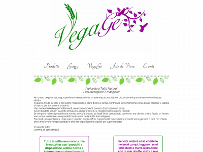 vegage.it snapshot