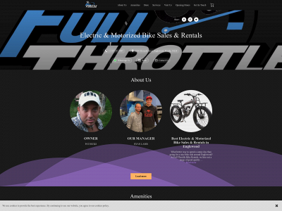 fullthrottlebikerentals.com snapshot