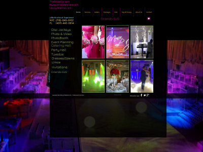 www.thebridedjs.com snapshot