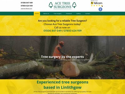 acetreesurgeons.co.uk snapshot