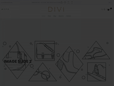 shopdivi.com snapshot