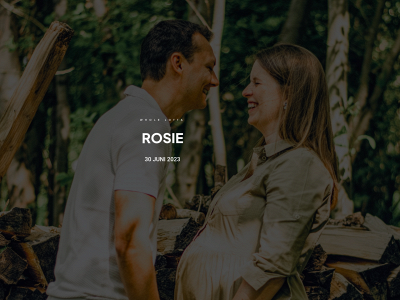 rosiesergant.be snapshot