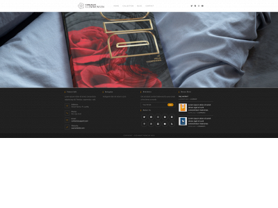 clemmensen.store snapshot
