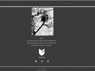 blackspokecollective.org snapshot