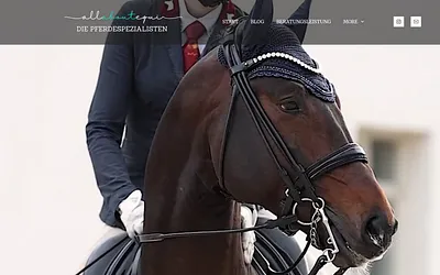 allaboutequi.de snapshot