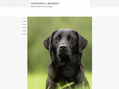 lundsidens.com snapshot