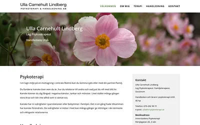 ul-psykoterapi.se snapshot