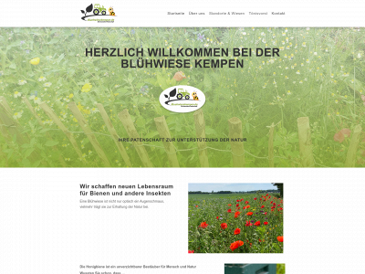 bluehwiesekempen.de snapshot