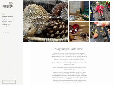 hedgehogschildcareltd.com snapshot