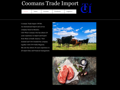 ctimport.com snapshot