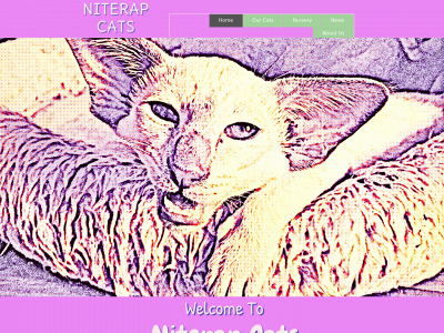 niterapcats.co.uk snapshot