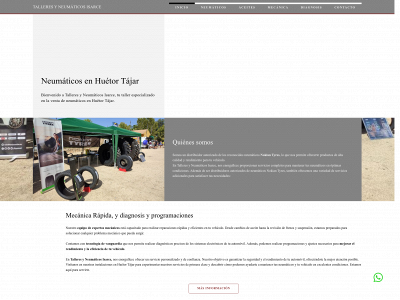 www.talleresyneumaticosisarce.com snapshot