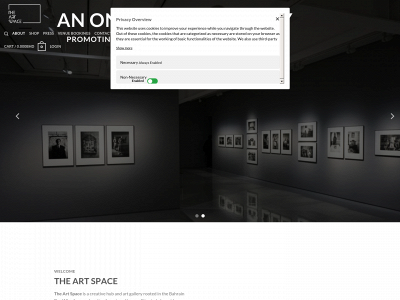 artspacebh.com snapshot