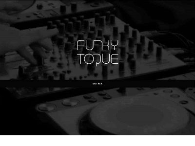 funkytoque.com snapshot