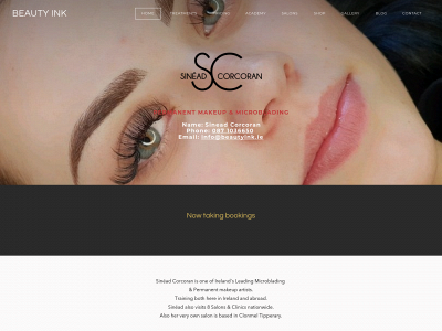 www.beautyink.ie snapshot